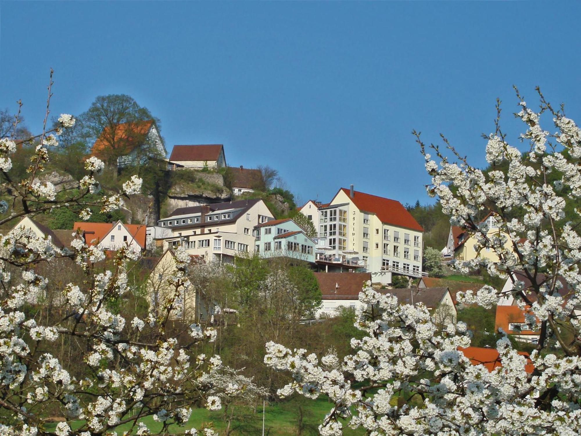 Berggasthof Hotel Igelwirt شنايتاتش المظهر الخارجي الصورة